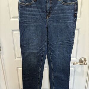 Talbots Dark Blue Skinny Jeans